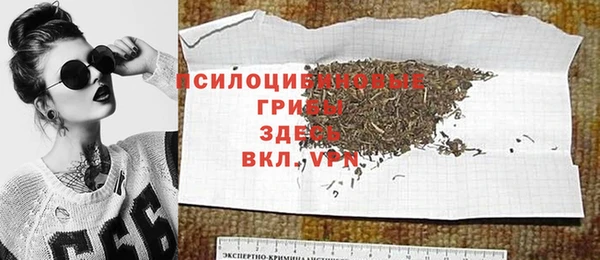 ГАЛЛЮЦИНОГЕННЫЕ ГРИБЫ Армянск